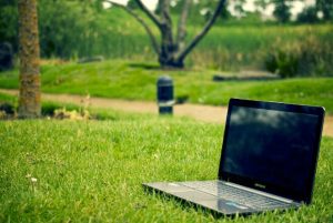 Environment online visibility through SEO
